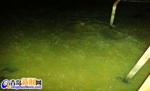 青岛圆宝亚麻纺织有限公司违法排污