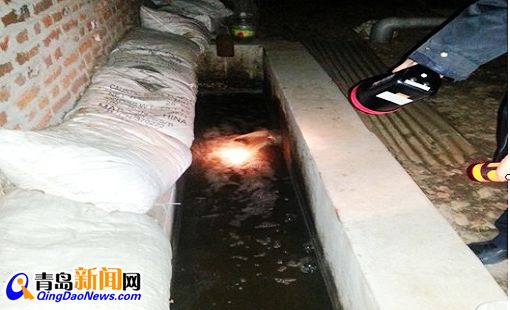 青岛圆宝亚麻纺织有限公司违法排污