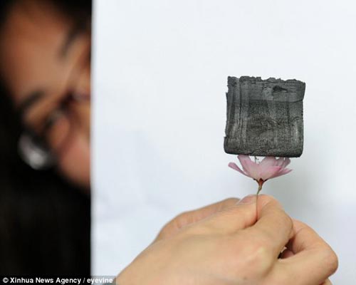 花很小，但足以承载该新型材料，可见这种材料重量之轻。