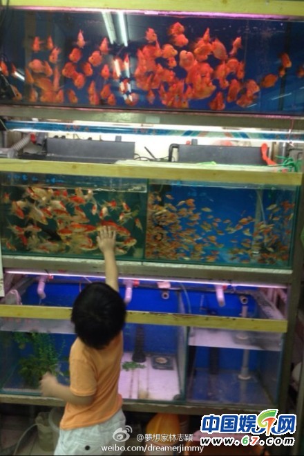 林志颖晒儿子飞车照 赞小kimi自创三轮车新骑法(图)