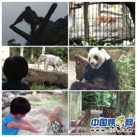 林志颖晒儿子飞车照 赞小kimi自创三轮车新骑法(图)