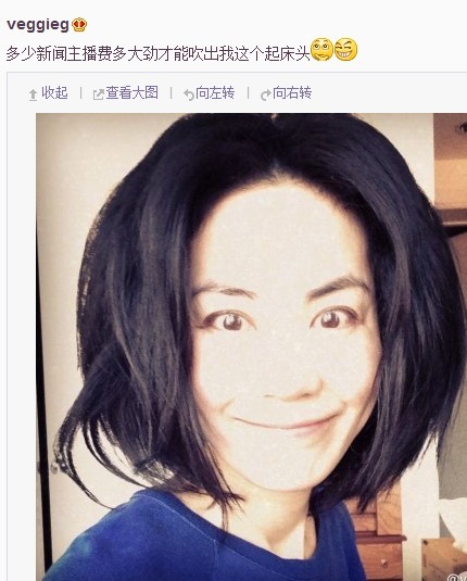 王菲晒起床后蓬头照 网友：天后也是个猪头(图)