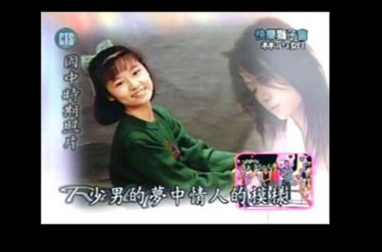 林心如身家过亿：男友一箩筐 撮合父母复婚