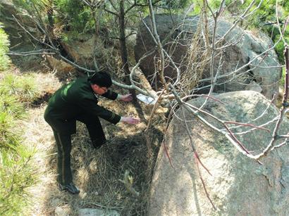 困崂山三天三夜老太命真大