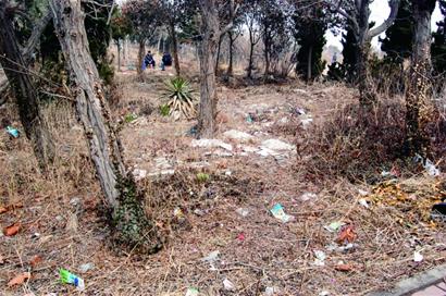 破败山头何时能美起来