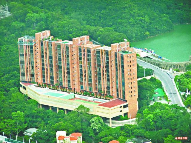 张国荣唐鹤德珍贵合照