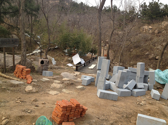 胶南大珠山杜鹃花会无花可看，市民称花钱看树枝