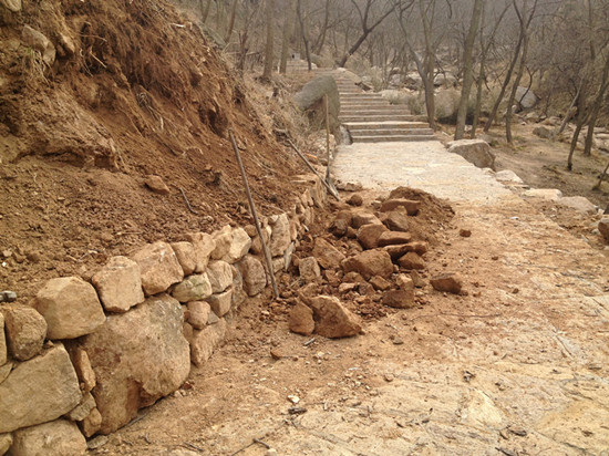 胶南大珠山杜鹃花会无花可看，市民称花钱看树枝