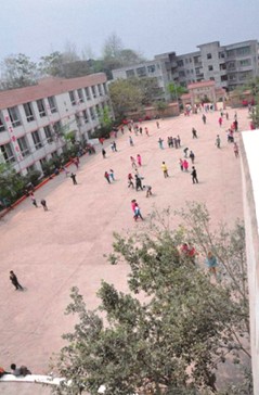 图为当天操办婚礼的操场。