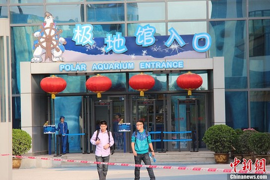 西安发生小学生踩踏事件19人伤