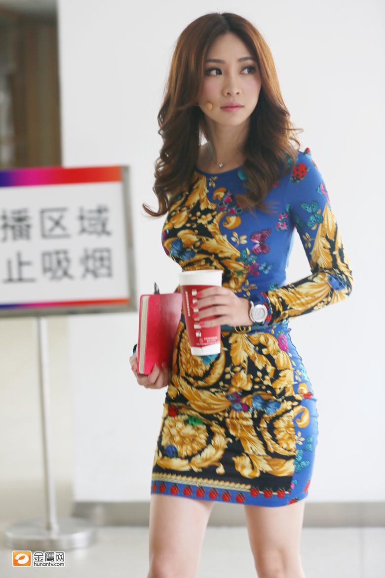 柳岩蝴蝶彩裙尽显婀娜身姿 僵笑面对排行榜“0”争议