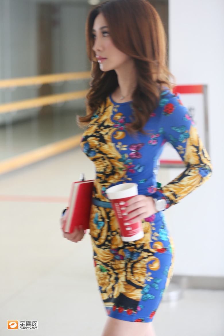 柳岩蝴蝶彩裙尽显婀娜身姿 僵笑面对排行榜“0”争议