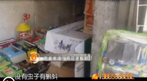 校外商店出售昆虫卵吸引孩子目光