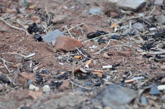 青岛海边野烧烤狼烟再起 沙滩垃圾遍地