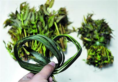 草绳香椿芽