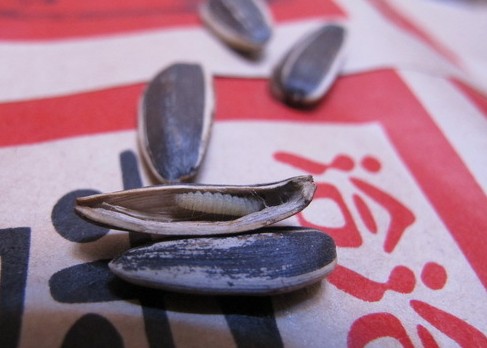 网曝洽洽瓜子吃出长约1cm死虫子 且破损霉变