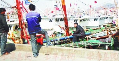 外地屠宰船占领沙子口 深海电网死鱼成片