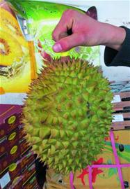青岛高价进口水果抢手 果贩日销6千斤泰国榴莲
