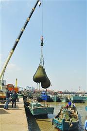 胶州东营码头蛤蜊大量收获抢红岛“头彩”，全市蛤蜊每天约消费50吨