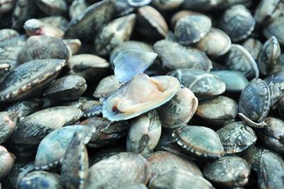 别看个头小，但是里面很肥