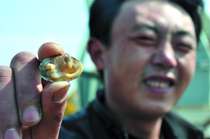 别看个头小，但是里面很肥