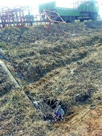 疲劳驾驶打盹大货冲下深沟 司机鲜血直流