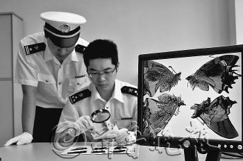 经检测,这是蝴蝶标本不是照片。