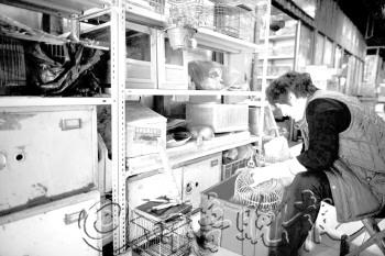 在南山花鸟鱼虫市场,商贩清洗鸟笼准备歇业。