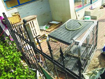 女子遭三只藏獒围攻