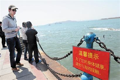 青岛确定八家禽流感定点收治医院