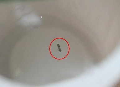 蒙牛酸奶喝出钉子 顾客索赔两千厂家只给两盒