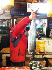 价格高达30-35元/斤 本地鲅鱼预计五一前后大量上市 价格高达30-35元/斤 本地鲅鱼预计五一前后大量上市