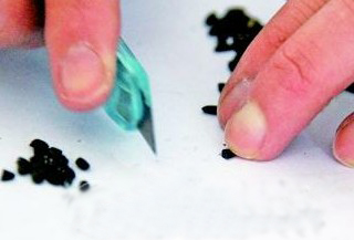 市民超市买回黑芯米掉色严重 真假搀和难辨别