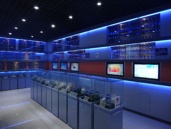 国内首家食品安全科普馆亮相青岛 免费开放