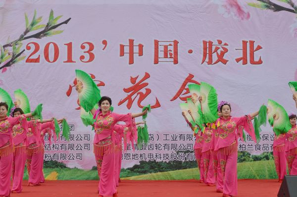 胶北赏花会开幕 市民赏花摘草莓享受天然