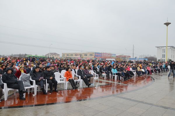 胶北赏花会开幕 市民赏花摘草莓享受天然