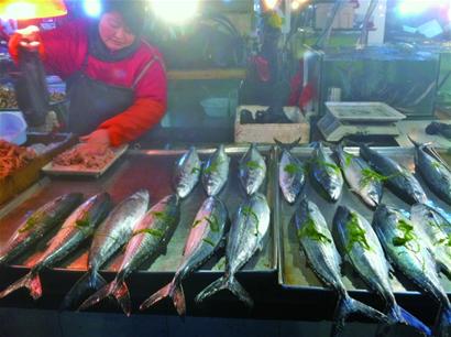 沙子口鲜鲅鱼上市15元/斤 个头小味道好 沙子口鲜鲅鱼上市15元/斤 个头小味道好