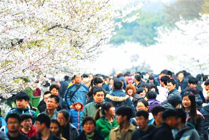 青岛遭遇倒春寒 青岛遭遇倒春寒