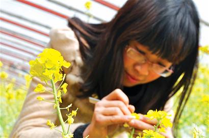 青岛遭遇倒春寒 青岛遭遇倒春寒