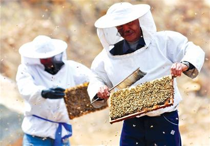 青岛遭遇倒春寒 青岛遭遇倒春寒