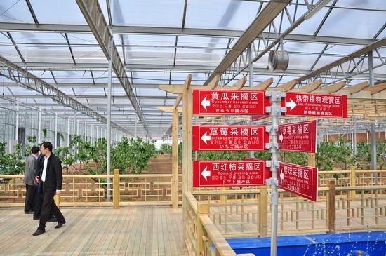 城阳打造首家热带观赏园 南国植物现青岛