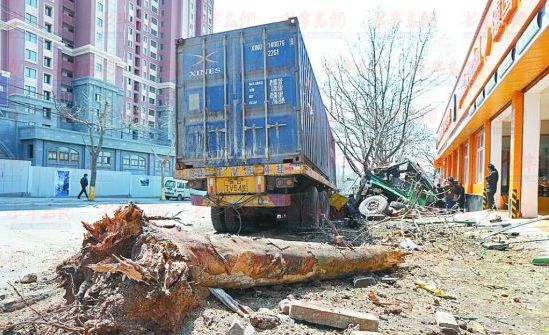 法国梧桐被撞倒。 