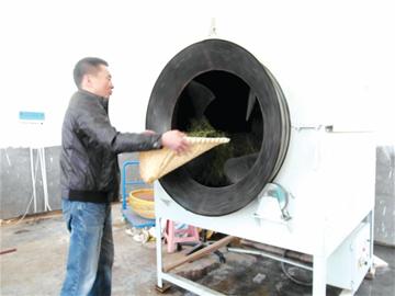 崂山茶价格史上首降 因增产受冒牌茶冲击