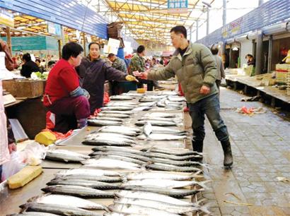 春鲅鱼价格同比下降 