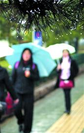 及时雨一到 麦苗“开口笑” 及时雨一到 麦苗“开口笑”