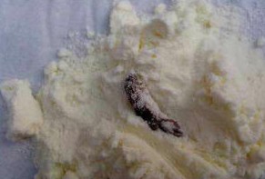 多美滋奶粉吃出风干蟑螂 客服踢球无人管