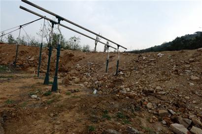 浮山等山地变身私人菜园 进山就像进农场