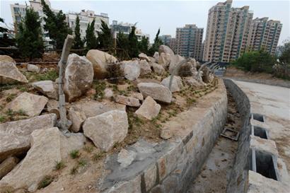 浮山等山地变身私人菜园 进山就像进农场