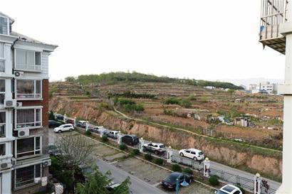 浮山等山地变身私人菜园 进山就像进农场