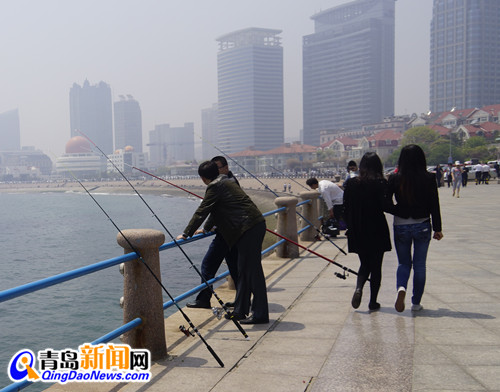 曝光浮山湾畔无德垂钓者 专钓5厘米长小鱼